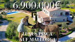 Luxus Finca Mallorca mit Pool und Eseln Rossitza Hantelmann