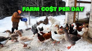 The TRUE Cost Of Feeding 100+ Farm Animals Each Day