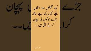 #aqwalezareen #quotes #hikayat #hikayaterumi #urduquotes #banoqudsia #urdu #poetry #favouritequotes