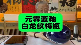 重器，元代霁蓝釉白龙纹梅瓶，藏友带来跟杨实老师鉴定探讨