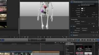 I Love QC 3D Model Loader // Final Cut X // Medical Visualisation Demo