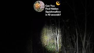 Find Object Game | Can you find hidden Squishmallow in 10 seconds in the night forest?