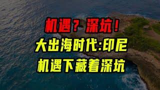 機遇之下藏著深坑！印度尼西亞市場比你想象中更擁擠【沈帥波】