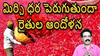 మిర్చికి ధర వస్తుందా Mirchi Market Report Guntur Mirchi Exports Chilli Rate Guntur Karam