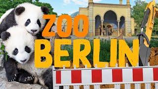 Zoo Berlin | Zoo Eindruck