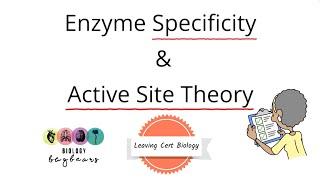 Biology Bugbears -Enzyme Specificity and Active Site Theory-Leaving Cert Biology 2025