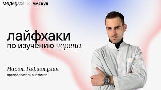 Лайфхаки по изучению черепа | Медвуза