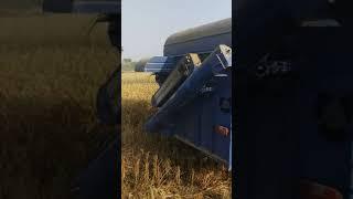 Sonalika sikandr 60 mini combine harvester