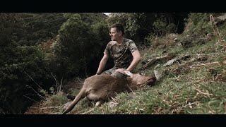 New Zealand Deer Hunting - Aorangi Public Land 3 Day Solo Hunt