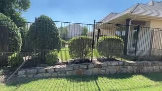 6' Puppy Panel Wrought Iron Fence