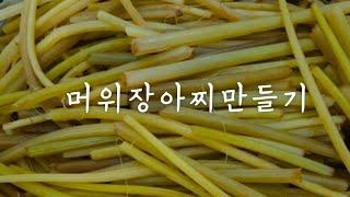 항암 채소. 머위 요리. 장아찌 소스 황금 비율. 시골 텃밭 풍경