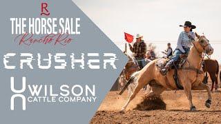 "Crusher" - Cody Wheeler/Wilson Cattle x Rancho Rio Horse Sale 2024