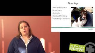 Emergency Triage | How to Triage a Veterinary Patient