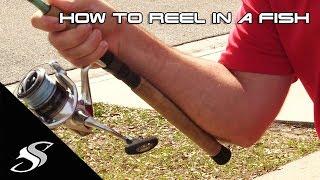 How to Reel in a Fish for Beginners