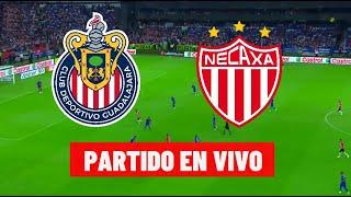 Vengan Vengan con Dani Mollo en VivoLa previa de Chivas Necaxa