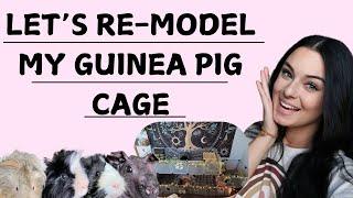 Let’s Build A NEW Guinea Pig Cage!