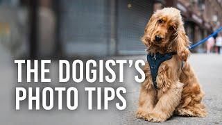 5 Dog Photography Tips with The Dogist