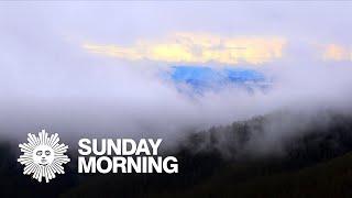 Nature: Blue Ridge Parkway in North Carolina