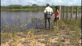 Mullett Lake Restoration