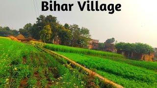 बिहार के गाँव | Bihar Village Life | Bihar Village | Village Life