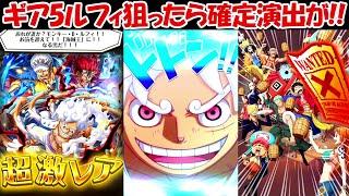 【トレクル】ギア5ルフィ狙ったらニカの確定演出が！！【ONE PIECE】