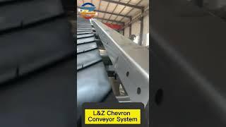 Qingdao L&Z Conveying System Co.,Ltd----Chevron Conveyor Belt System