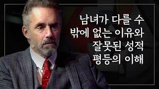 조던 피터슨 | 남녀가 다를 수 밖에 없는 이유와 잘못된 성적 평등의 이해