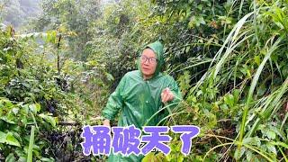 暴雨还在继续下，阿恋村里的田地到处被淹，靠天吃饭的农民太难了