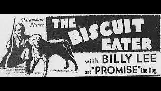 the biscuit eater