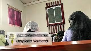 Despierta Hermano