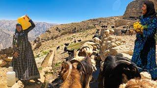 Large Nomadic family Building a house near a Mountain Spring water