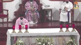 Santa Misa desde la Parroquia Basílica de Santa María de Guadalupe Hgo