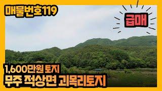 #119. (급매)가격조정1600만원 토지매매