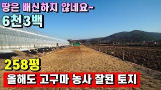 양평토지매매[1005번] 맑은 흑천 인근 지방도 접근성 좋고 시내 차량 4분거리 농막 및 체류형쉼터 가능한 6천3백만 토지