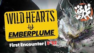 WILD HEARTS - SOLO EMBERPLUME First Encounter 9"52 | EA | Bow