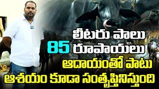 Dairy Farm Business : 60 గేదెలు , 7గురు వర్కర్లు , కోటిన్నర పెట్టుబడి | dairyfarming | Sasyasyamalam