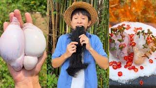 This is a treasure!|Chinese Mountain Forest Life and Food #TikTok#FYP