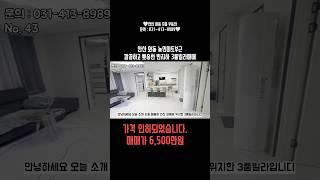 가격 인하되었습니다 6,500만원. 풀버전은 밑에 ▶️ 버튼 눌러주세요 #와동부동산 #와동빌라 #빌라매매 #3룸빌라매매 #3룸빌라 #안산빌라
