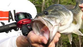 The NEW Abu Garcia Revo Rocket Baitcaster Fishing Reel