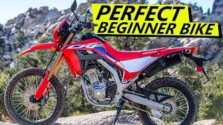 2022 Honda CRF300L Comprehensive Review (Best Entry Level Bike?)