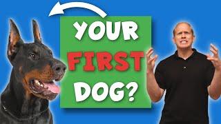 Doberman 101: Why First Time Owners FAIL