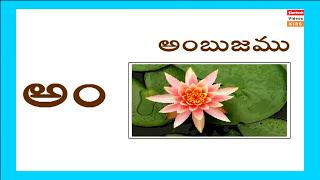 How To Learn Telugu Alphabets - Aa Aalu | Telugu Aksharamala అ TO అః With Sounds