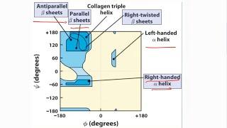 Ramachandran plot / ramchandran plot