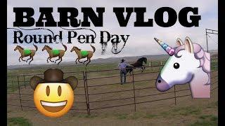 BARN VLOG- ROUND PEN DAY