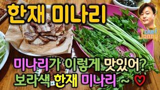 Jonny Chef - 한재 미나리,, 미나리 그냥 먹어도 맛있다고? 청도 한재에서 생산하는 속이 꽉찬 보라색 미나리,, 부드럽고 향긋하다~`