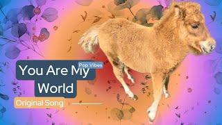 Amazing Song! Cute Shetland Foal will Be Your World! ️