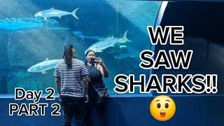 Honeymoon Day 2 | WE SAW ACTUAL SHARKS | Two Oceans Aquarium | What to do in Cape Town | Getaway |