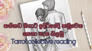 තනිකඩ ඔයාට ඔයාගේ next partner ගැන|ටැරෝ සාස්තර|collective reading