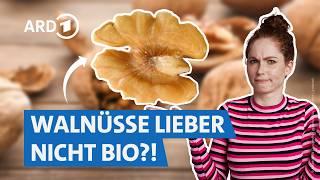 Walnüsse von Lidl, Aldi, Seeberger, dm & Co.: Welche sind die besten? | SUPER.MARKT rbb