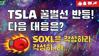 위기의 미국주식, 대응 이렇게 하세요! / 미국주식 차트분석 TQQQ SOXL TSLA NVDA USD